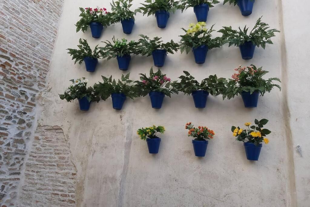 Tgh/ Vital Aza Malaga Centro المظهر الخارجي الصورة
